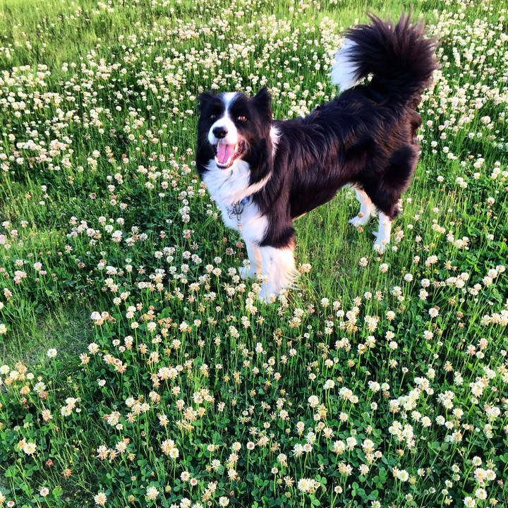 1130dffd 0c54 4d40 a974 03b5f6570d89 1735645623355