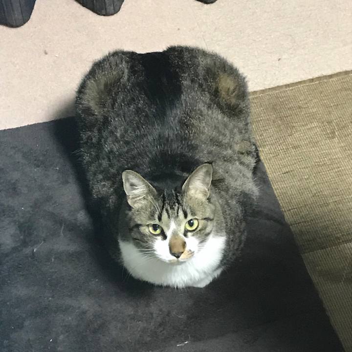 1130e2bd ed22 4026 bfcf bd98d43f50c2 1515678645727