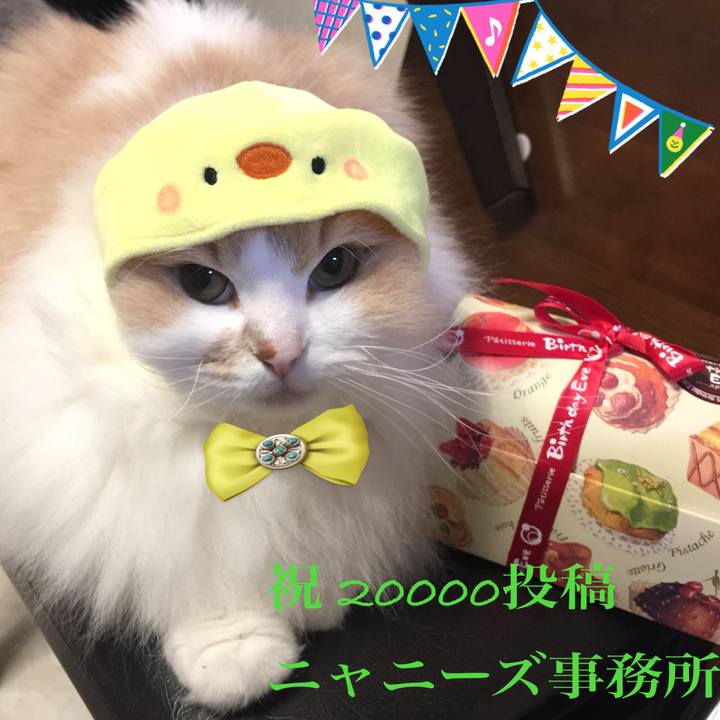 113143f0 0449 40c0 88a8 ace5fb04d4ef 1553778926250