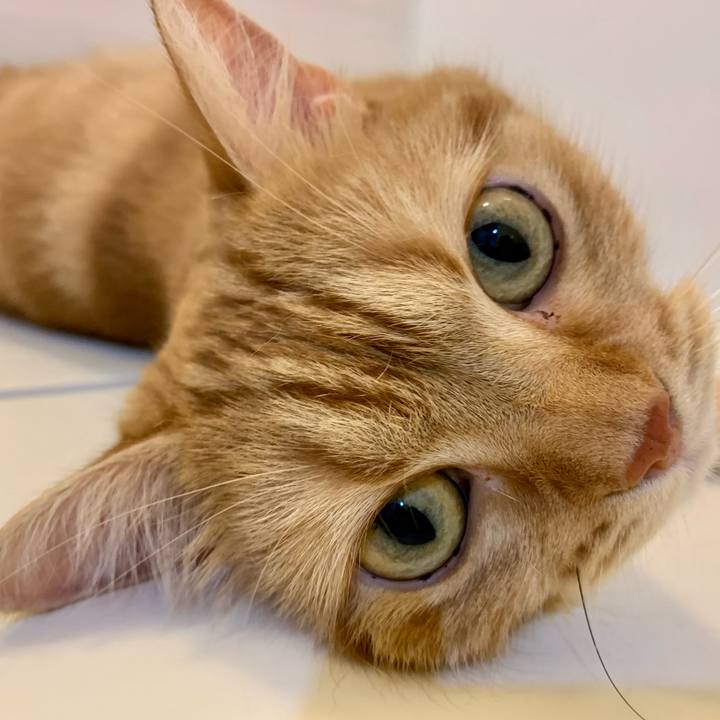 11315449 a06f 4962 8ec0 15d9b2f1d3b9 1626783925812