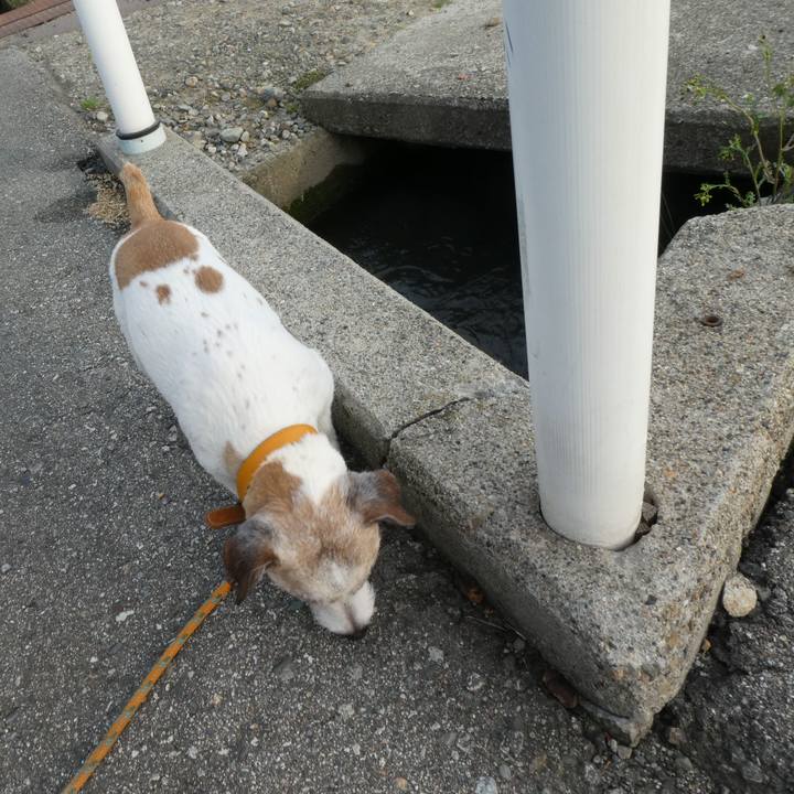 11317504 c467 4e99 b004 ba6fa69fcf83 1588504136689