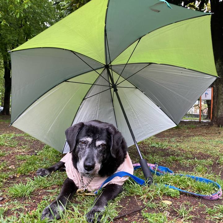 11319f1c c930 4a13 93d5 230a0bd7151e 1745415491651