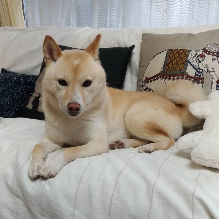 1131a6c7 bf16 4050 b821 0e347673d33f 1561721775558