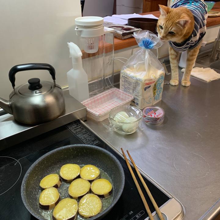 1131c89a fc4e 4a65 9788 81d679bdef3d 1650542864119