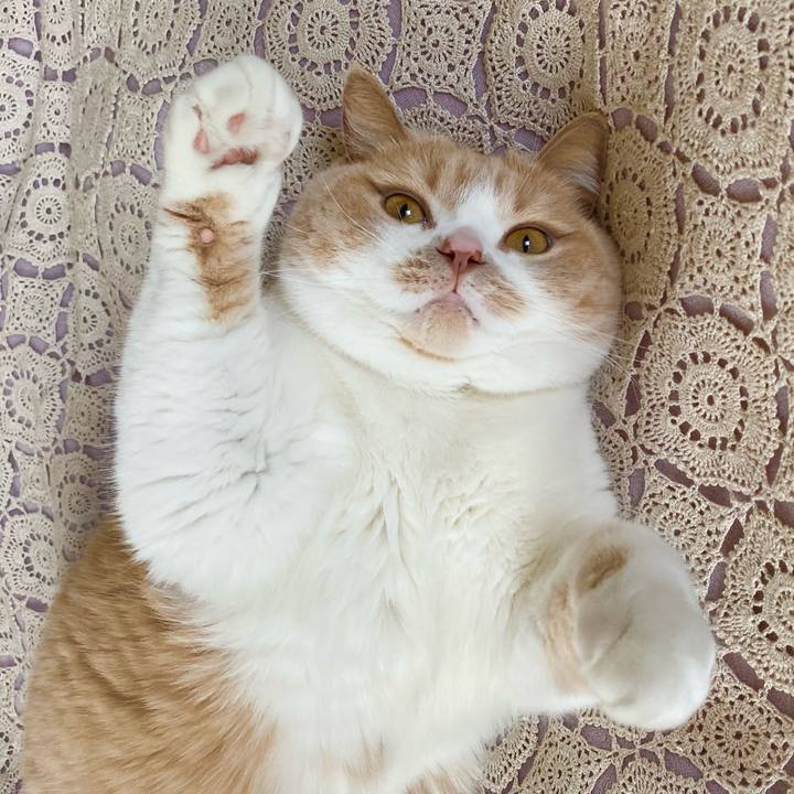 1131d8f4 f16c 4736 8011 1fc11f485046 1651153337422