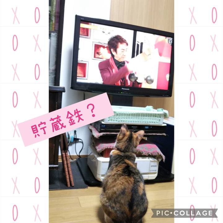 1131fc25 f8e6 489b ac89 f0f3ea82ccb7 1657797975895