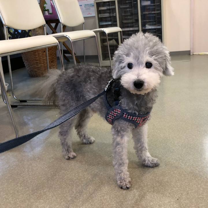 11322376 59b6 4bd6 a6cd cbae63b01805 1561935510790