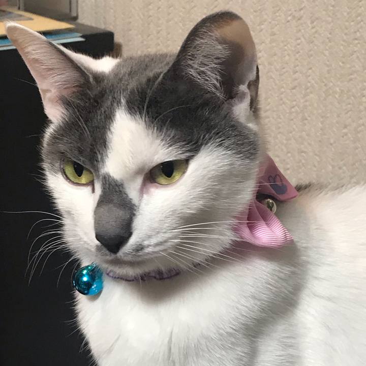 113273d7 f912 4b3f a88c 450b4a851ba8 1551961088313