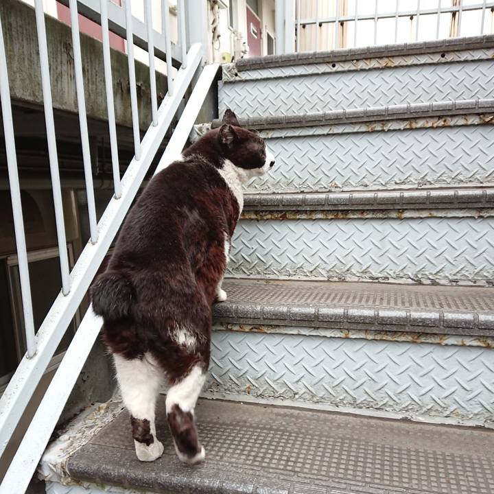 113278da 9ecb 4805 bb8e 1f4e3bc6f0de 1615103555013