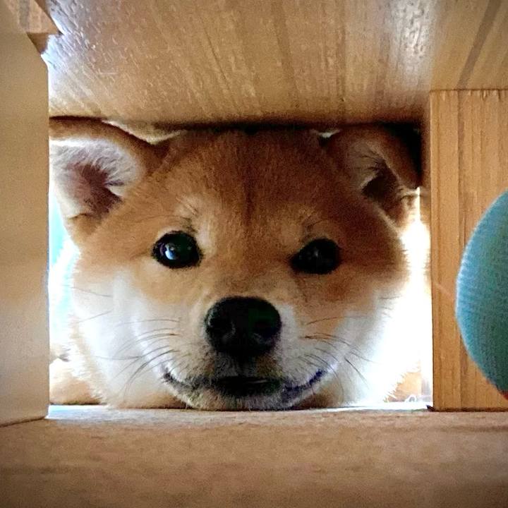 1132b26b 2162 469c 83be d6148b349309 1638534761318