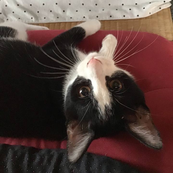 1132c961 c6ea 42cd a3cc 86907ce8fe11 1628914331186