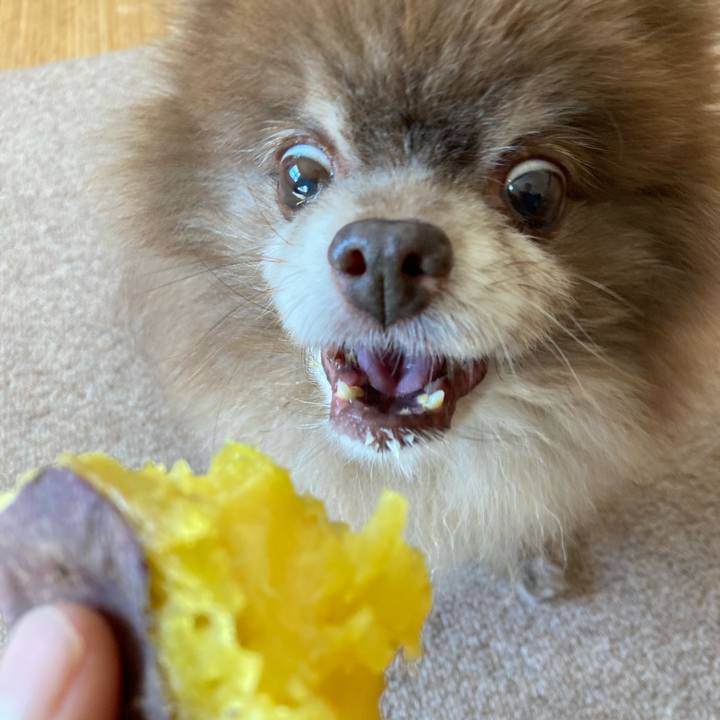 1132dd28 0b16 47e9 bdcc 42f6adbec9ea 1699655383769