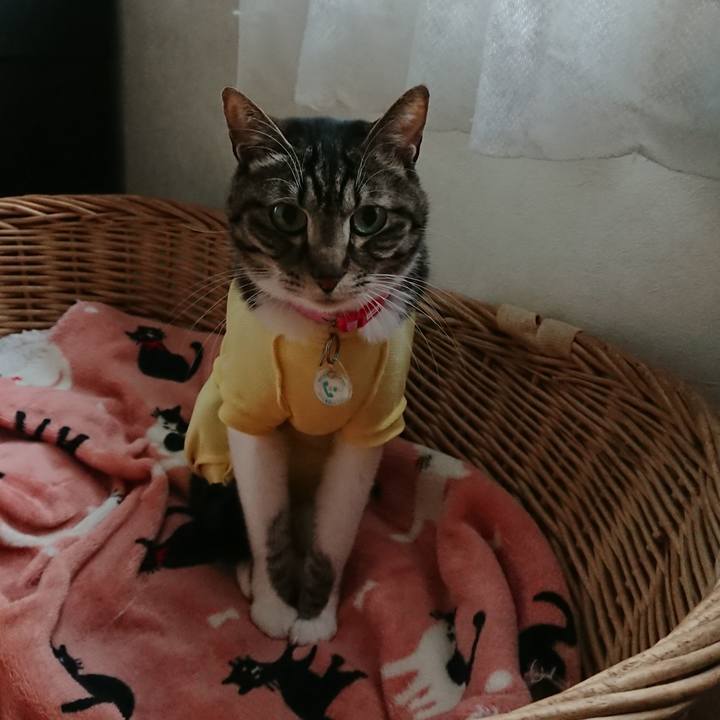 1132e661 09e4 4d3a 981f b32d3b535d98 1625875533904