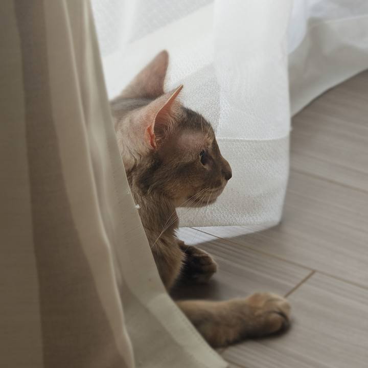 1132f4ce 6232 4705 83ed 3b737b05bea5 1766459743307