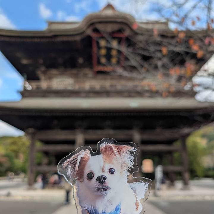 113308b2 c01f 4e35 9ab2 9c2a2a983a07 1764200882548