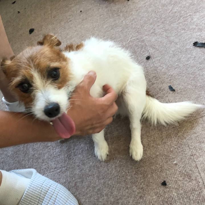 11331157 c3e9 457b a367 bc9a83b1dcd2 1571484466146