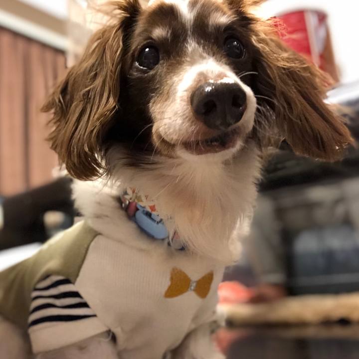 11331de1 75f6 4add a7ac 6e85d29d0067 1546952758296