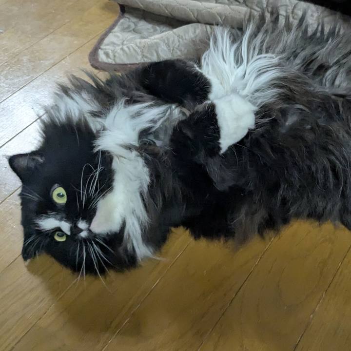 11333c0a a393 4a95 aa7b 490599513e5f 1754049148277