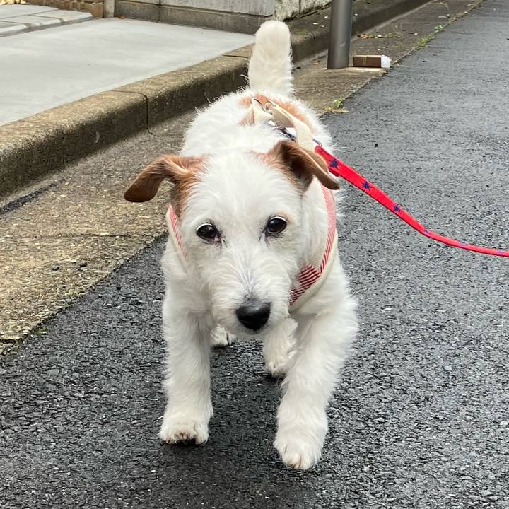 11338117 e3c4 4598 aac8 b9dad1a9b80a 1747009220651