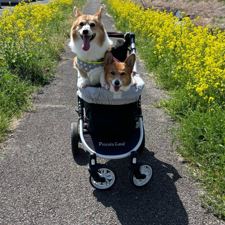 11339488 9c90 425a af61 d24624da3d27 1743128740387