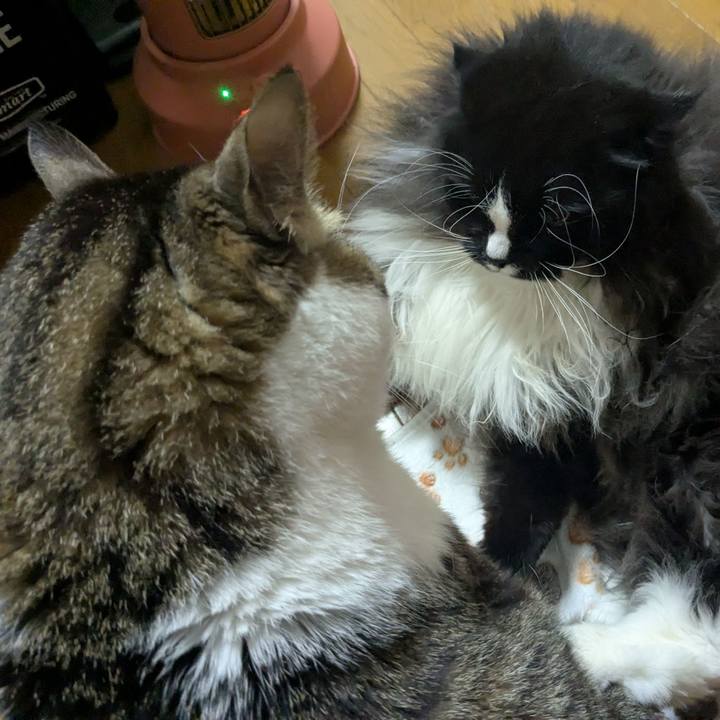 1133a378 f22a 40df b91a 7c2f2735b557 1764978156927