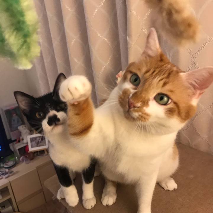 1133b434 cc70 406a bc9e aa434e2eacf0 1601030278073