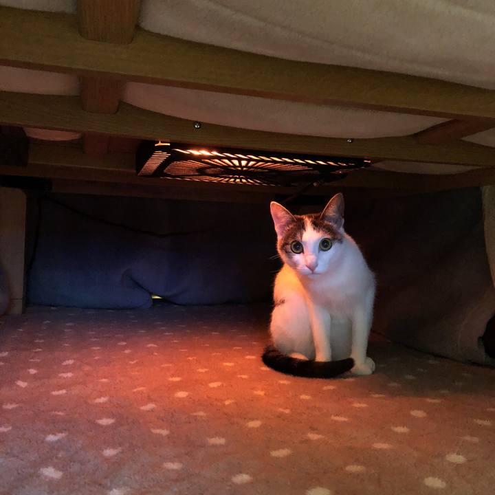 1133e2b3 3eff 4114 bf4b 6d332d3b131a 1584089677072