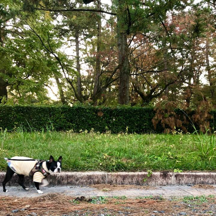 113451b0 e22f 415e 94f7 3b3fbea7c426 1543026513747