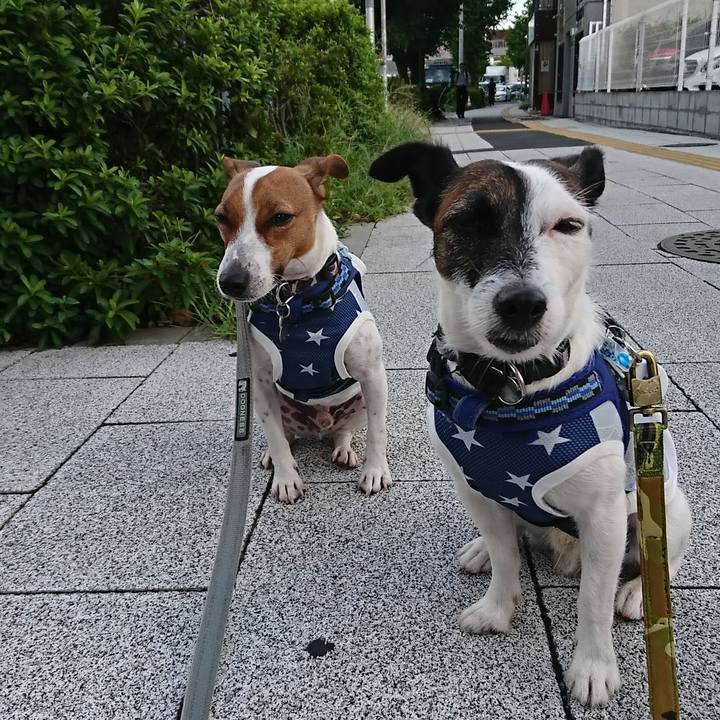 113452ee 2a83 43d5 af56 f04656a84cb9 1536531065360