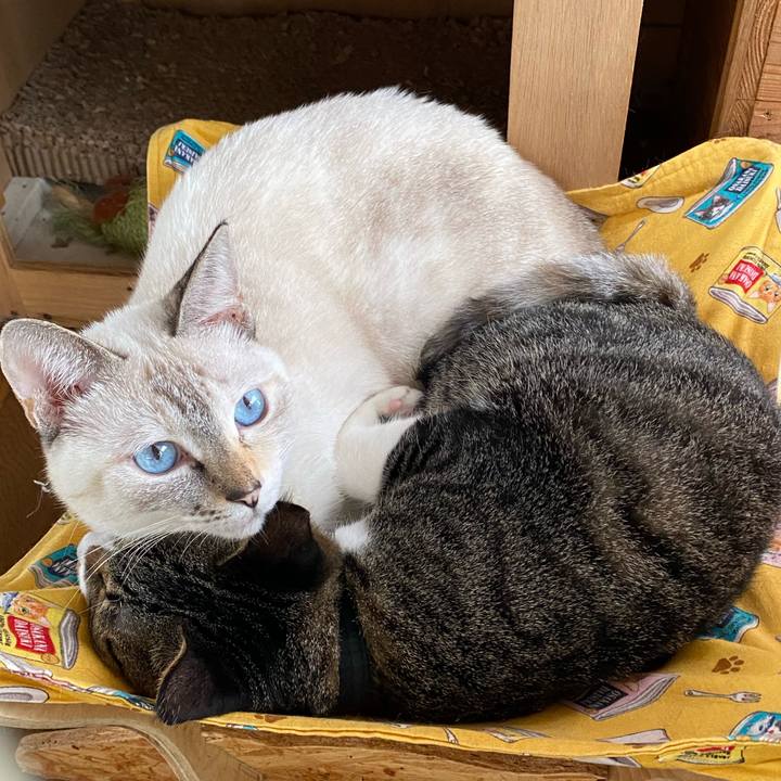 113465b1 82fd 425c 9366 3f9205d0849d 1663895623438