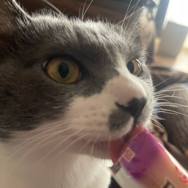 11348fe0 19e5 49d4 ba73 7da8bb0ec79e 1672987028298