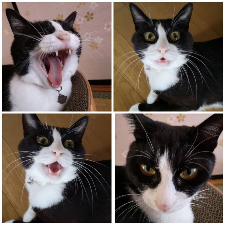 1134c7c6 390f 4a45 8e43 32d7f564bdb3 1597033804904