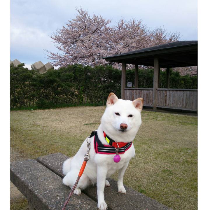 1134d7b9 3aa8 4ad8 ad82 fa0f8a2bd029 1555580055959