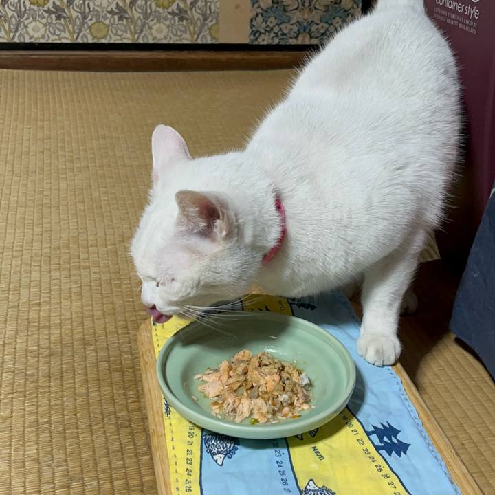 1134e3bf 6c12 41e0 8434 70dfa6dcdd14 1764676404536