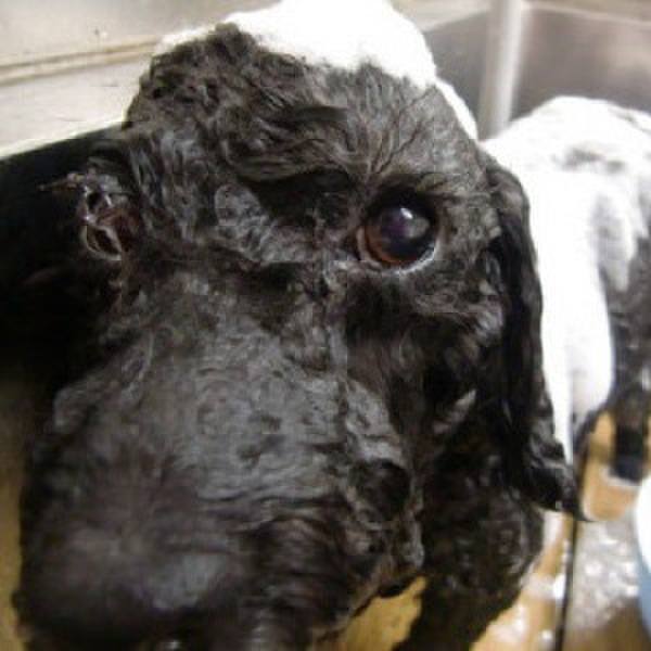 1135206e d697 4d41 8bcf 5c1102f6a303 1691981372028