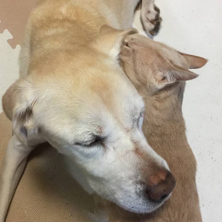 1135211d 9658 44cc 9744 c4ce63560db5 1515489349252