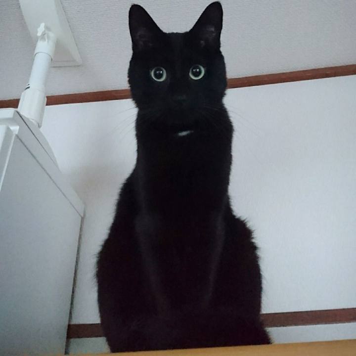 11352f65 f48a 4650 aab5 8b90ac881a36 1577920415911