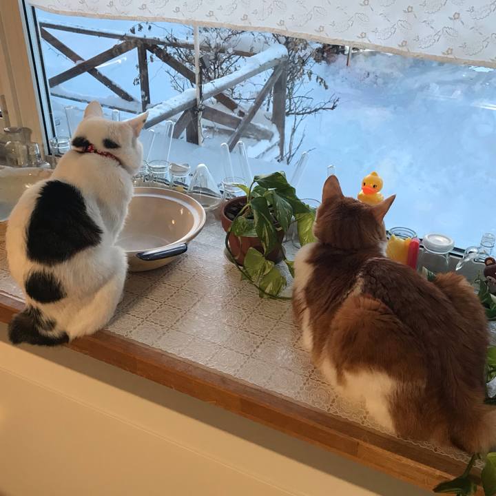 11353223 d96d 4ffb ad7b af75c6ff2872 1548798609130