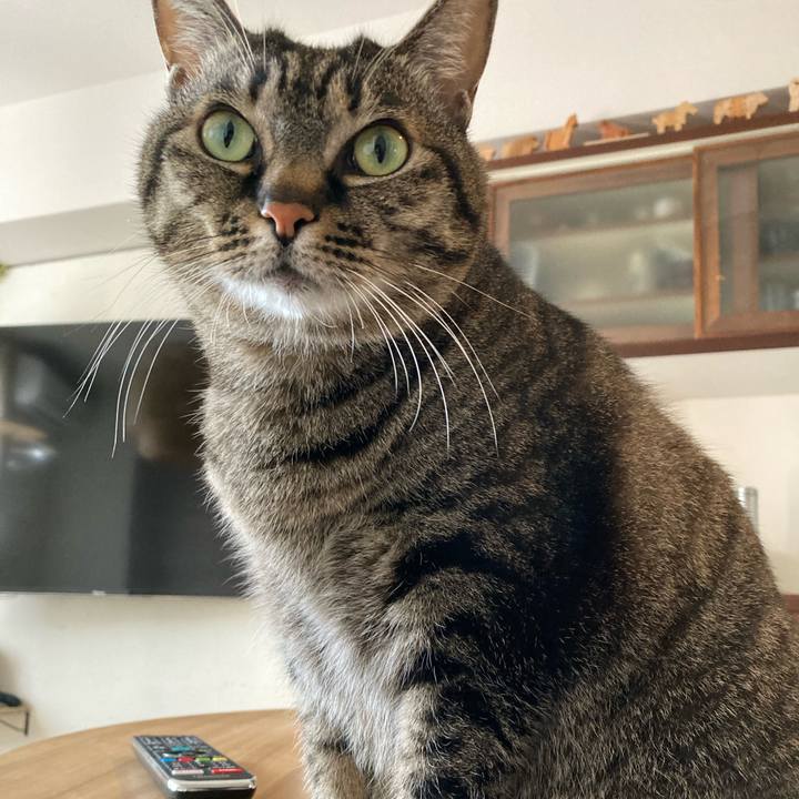 11353862 32fe 4dd2 8c60 db6e76fe0c25 1646093746076