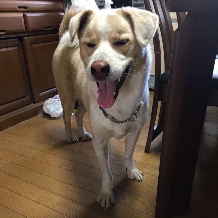 11359444 268d 4d47 b415 d4dc141a7bd4 1533769969388