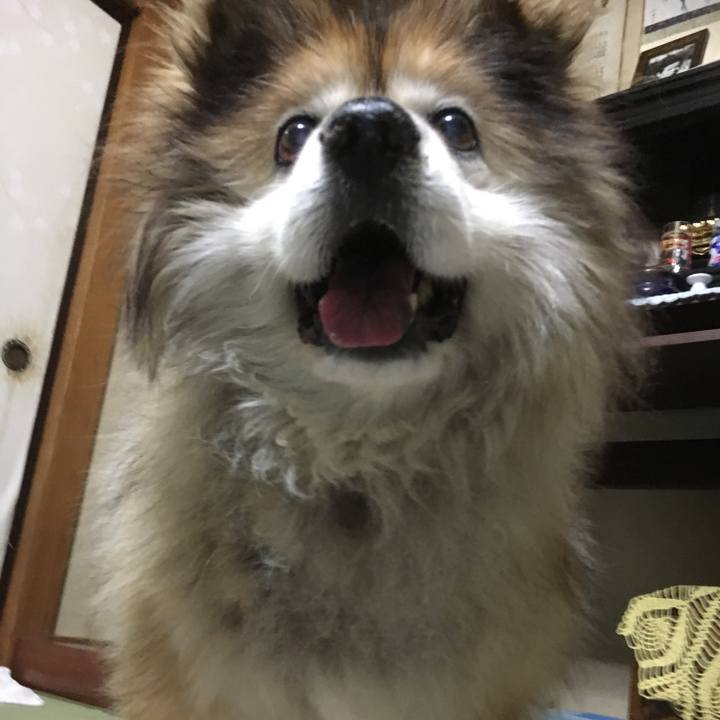 1135ae9f 8e89 4347 aeec ceb176e1dddb 1568558163408