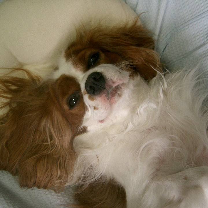 1135b03f 1137 4fdb 8fe1 ead6d670233e 1516226821325