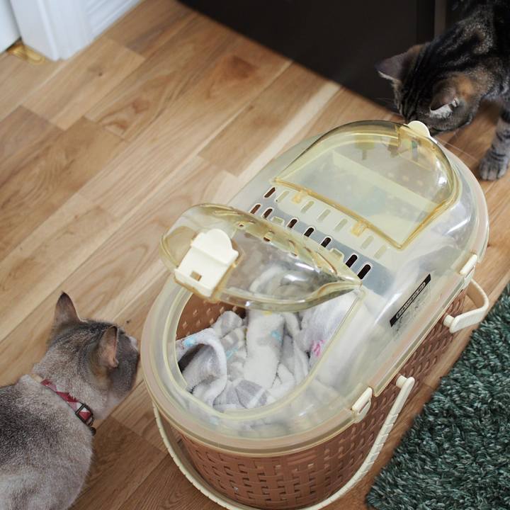 11360069 209d 42f9 875c fdbaf1dee5e8 1559962464340