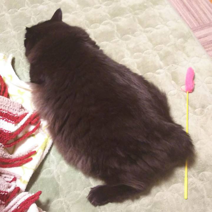 1136196c 051b 4a69 bd26 2f1bc939739e 1510574118091