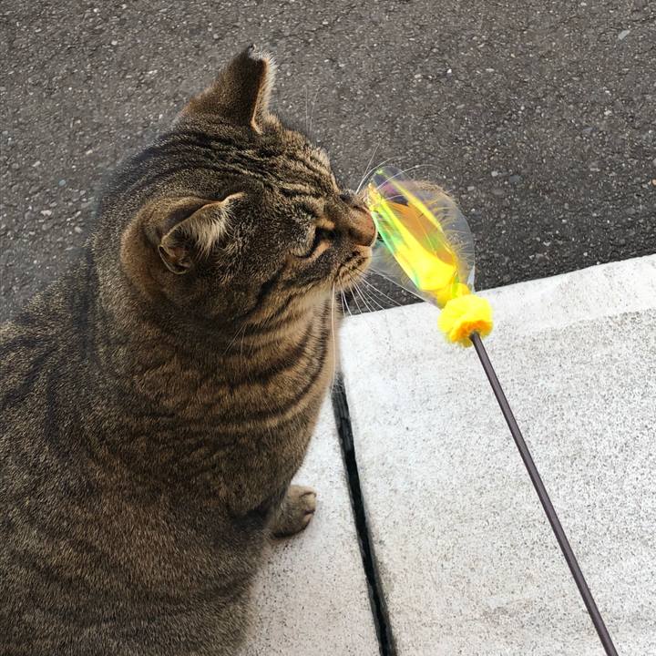 11363c9e a224 47bd a72e 4e1eb92a11a8 1519712426370