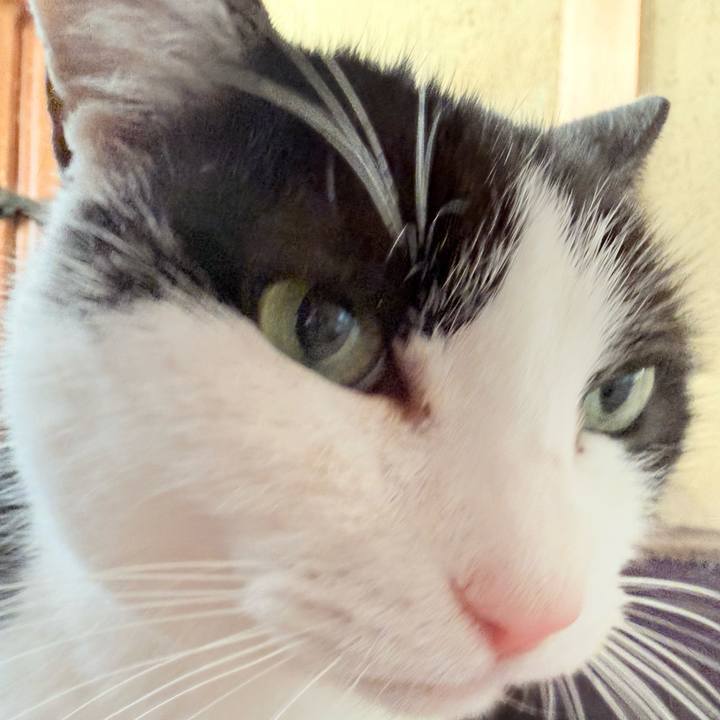 1136529c 1830 41e7 b7f8 ffbe38e080c7 1769219929894