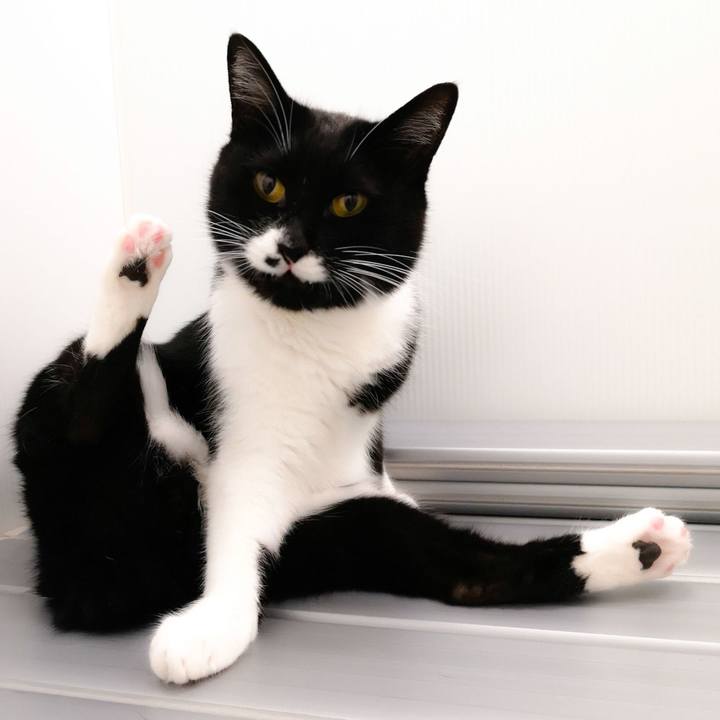 1136bef3 da05 4082 aa9d 9e648f532d87 1559489384202