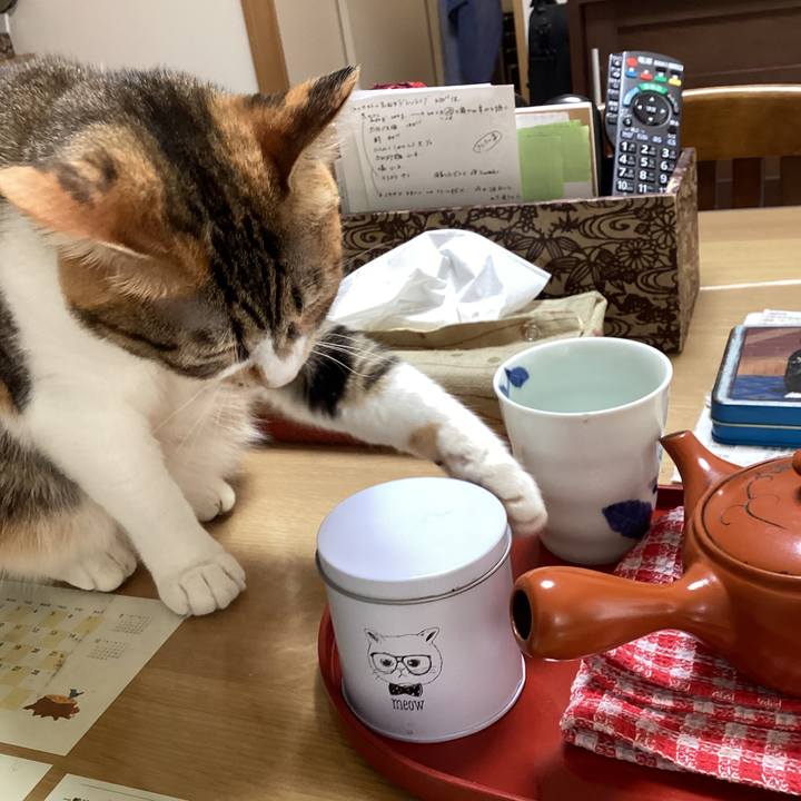 1136c9a2 0d7f 4ea6 95c6 7480d3092aaf 1722682474737