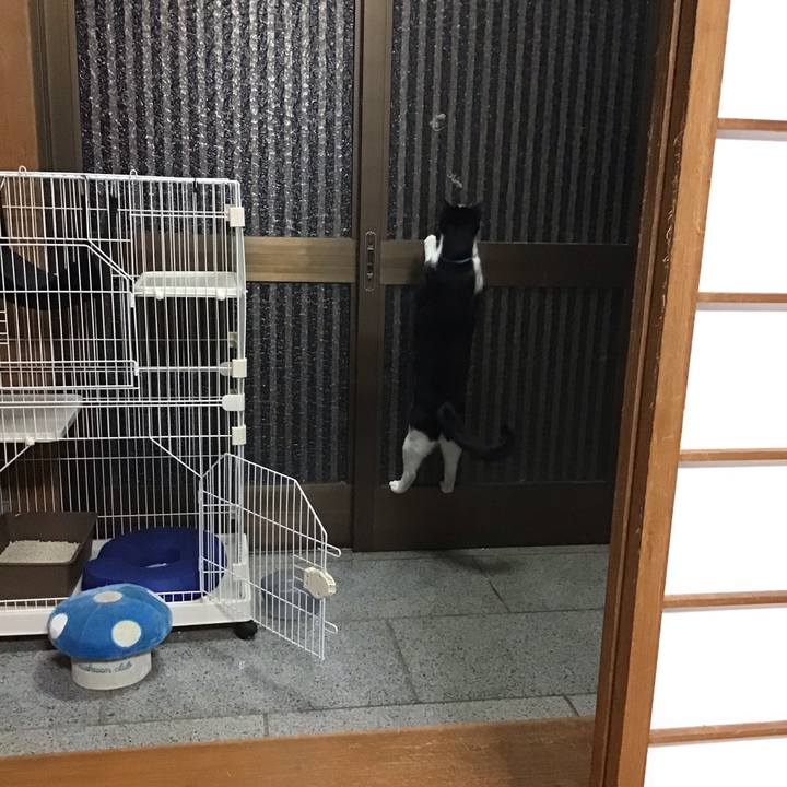 1136d10f 7464 428c 801d c9c953df7007 1696244013016