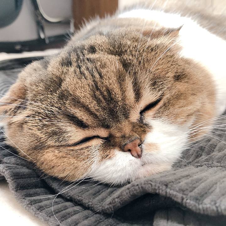 1136df14 1942 4f5f 985f 37a01428b274 1595317059452